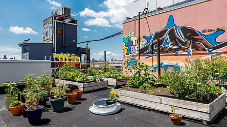 Rented by Nooklyn NYC LLC