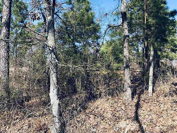 5th image of 1350 County Road 1670