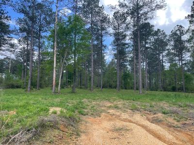 177 Jo Ann Dr, Sumrall, MS, 39482