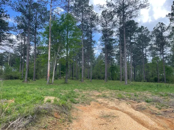 177 Jo Ann Dr, Sumrall, MS 39482