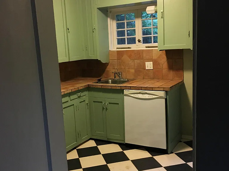 Kitchen sink & dishwasher