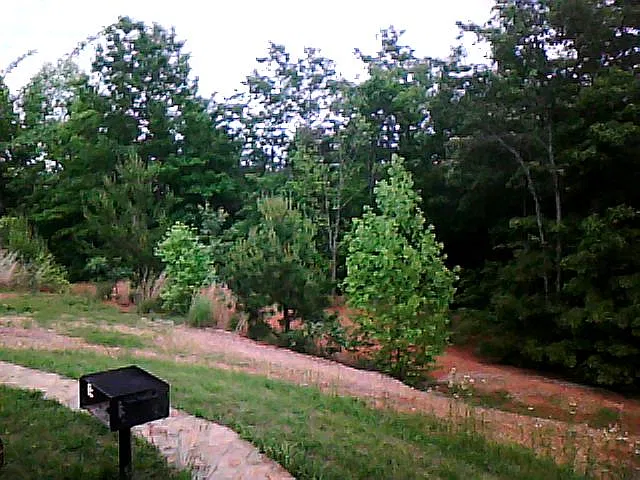 Back Yard BBQ pit