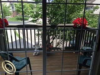 1st image of 28075 Carlton Way Dr #1