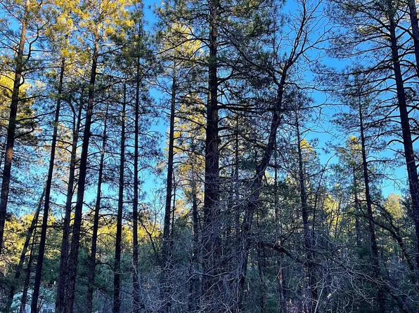 2810 S Wapiti Ln, Pinetop, AZ 85935