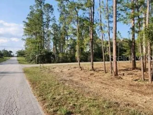 Aspen St Lot 1, Eustis, FL 32736