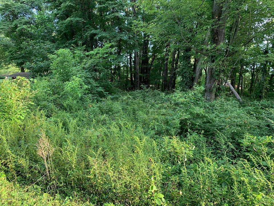 2nd image of 0 Harbert Rd