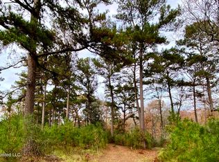 0 Albert Prince Rd, Carriere, MS 39426