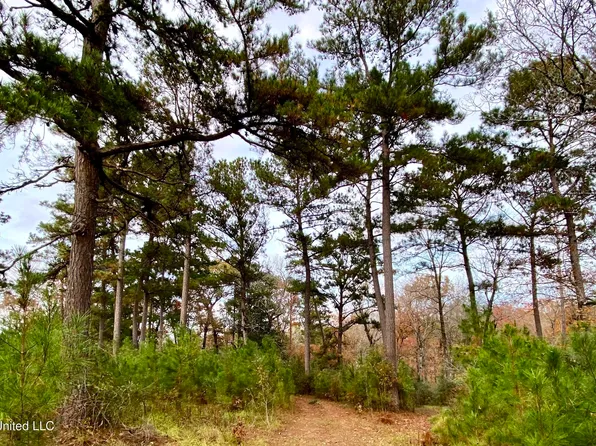 0 Albert Prince Rd, Carriere, MS 39426