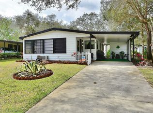 4 Ribbon Falls Dr, Ormond Beach, FL 32174