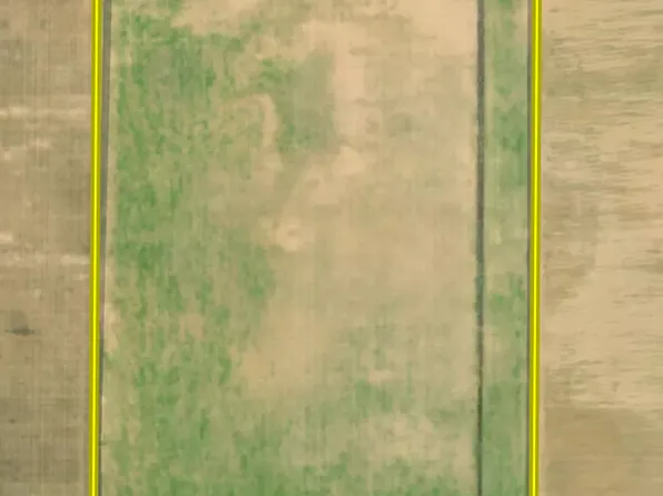 County Road 132, Rochester, TX 79544