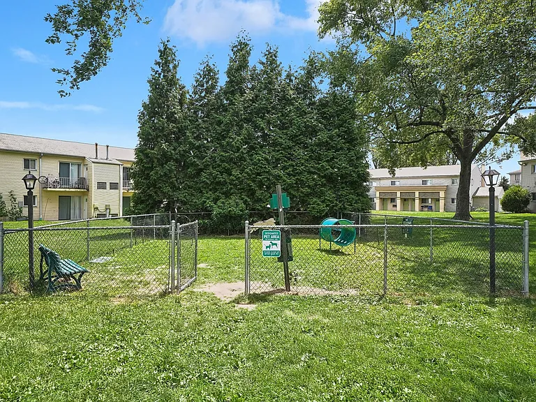 Dog Park