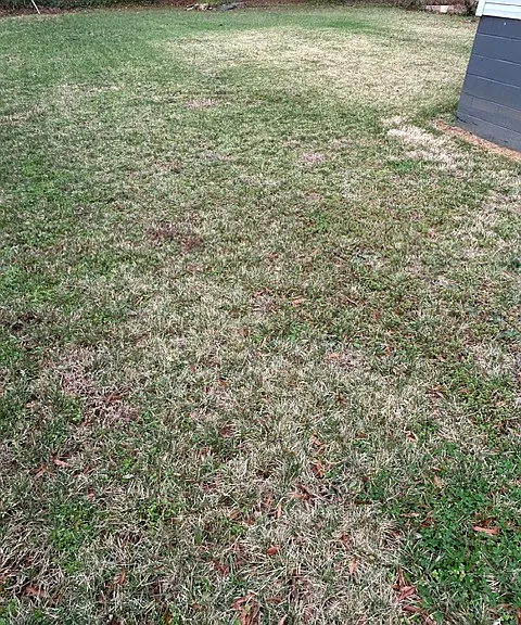 429 Dare Dr — Photo 10