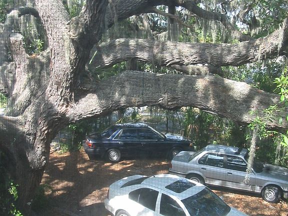 Parking Pad