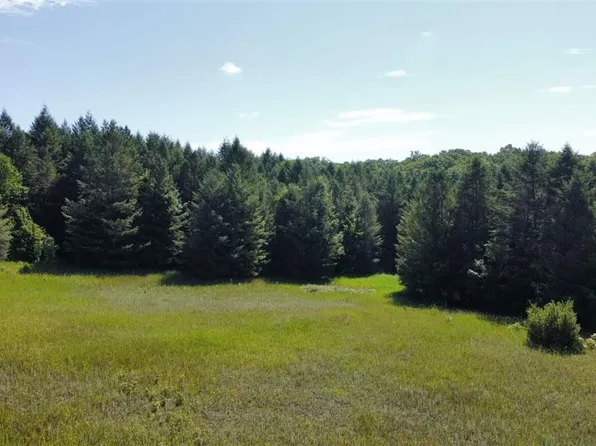 29 White Tail Dr, Bellaire, MI 49615