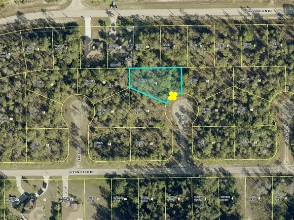 1905 Ney Ct, Lehigh Acres, FL 33972