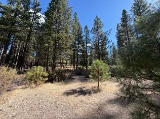 119 Saddle Ridge Rd, Clio, CA 96106