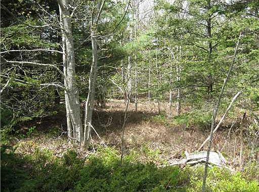 2nd image of Lot#2 Camp Stream Road
