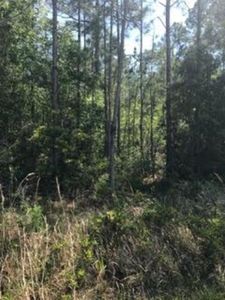 0 Deakle Rd LOT 1, Irvington, AL, 36544