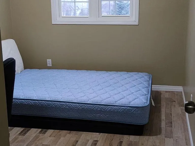 437 Speckled Alder St — Photo 11