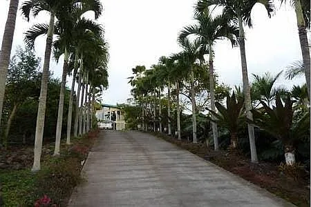 2 bed, 1200 sqft, $4,000 — Photo 2