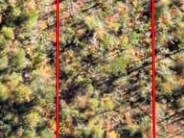 0 Grace Ln, Fountain, FL 32438