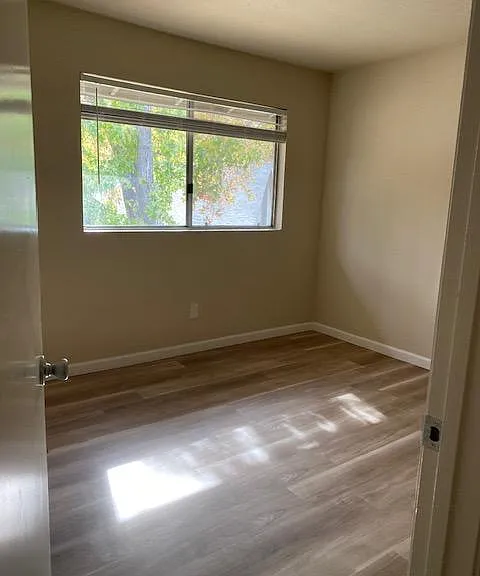 Birchwood Apartments — Photo 11