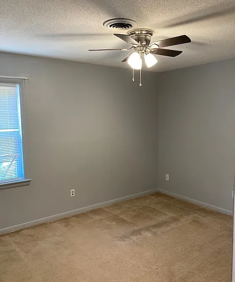 236 Park Ln #1 — Photo 9