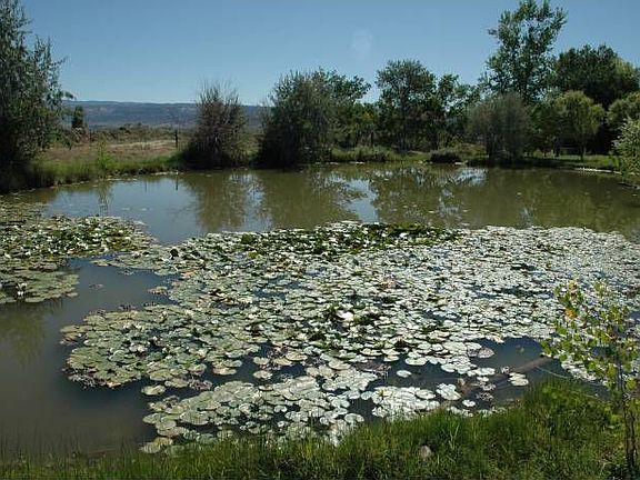2 ponds