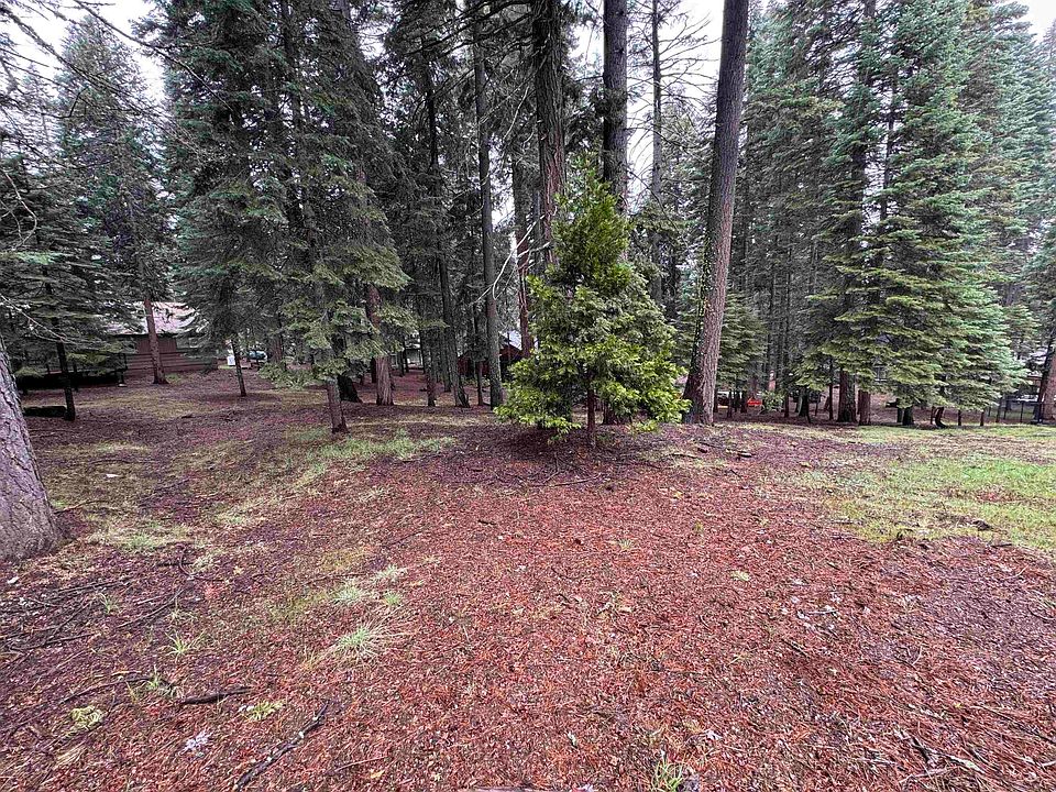 2nd image of 1210 White Fir Trl