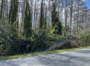 Richmond Rd LOT 183, Saint Cloud, FL 34773