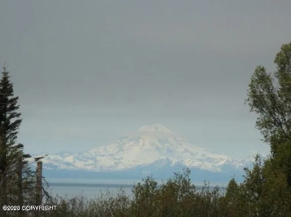 10730 Heidis Way, Ninilchik, AK 99639