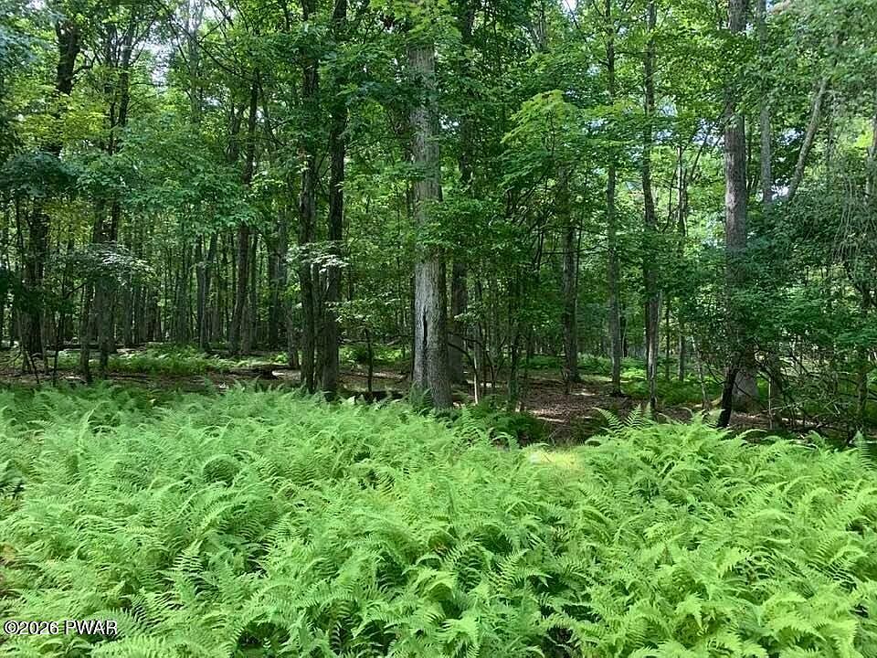1st image of 177 Forest Ridge Dr