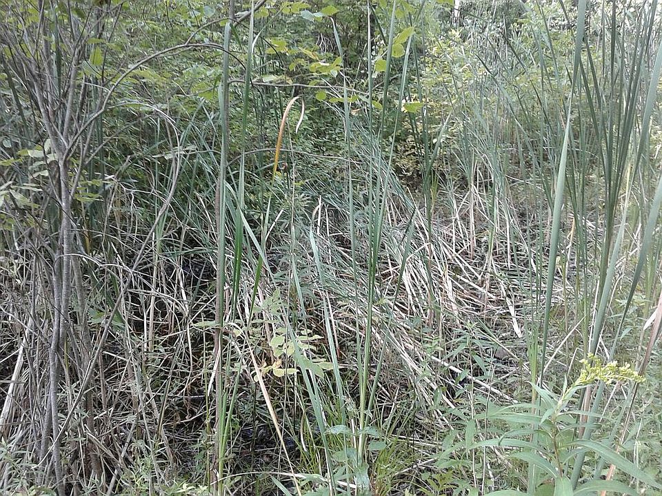 2nd image of BUTLER Rd