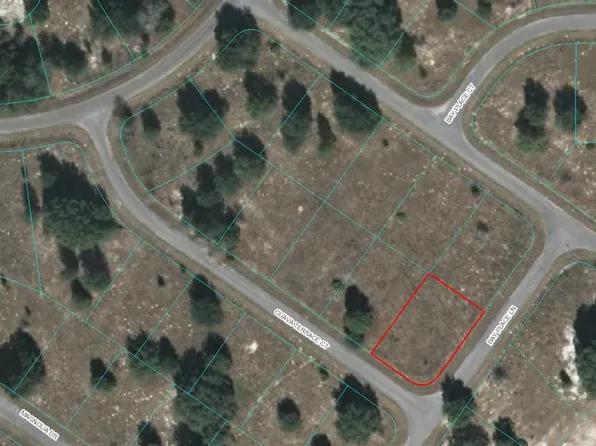 0 Guava Terrace Ct Lot 7, Ocklawaha, FL 32179