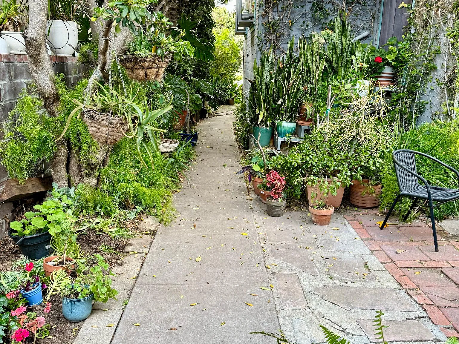 1 bed, 520 sqft, $3,900 — Photo 4