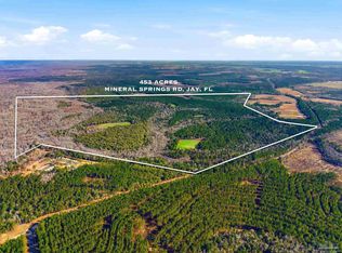453 Mineral Springs Rd, Jay, FL 32565
