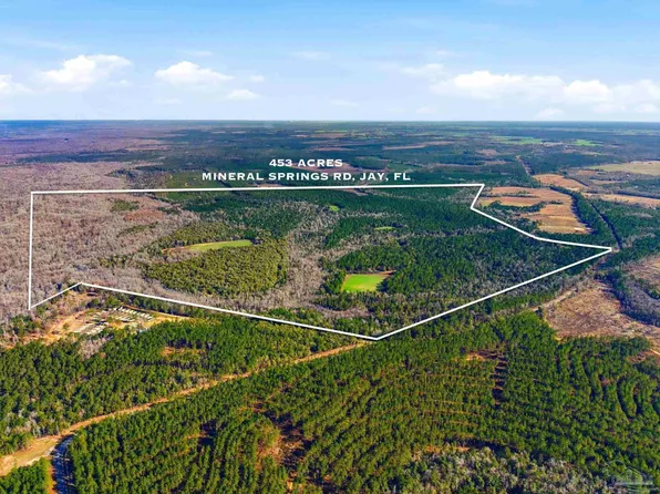 453 Mineral Springs Rd, Jay, FL 32565