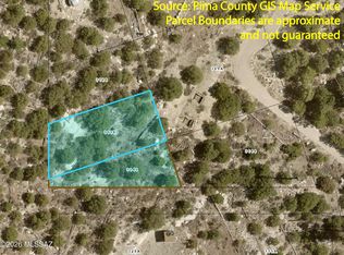 12800 N Winkelman Ave #15, Mount Lemmon, AZ 85619