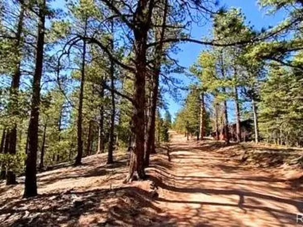 130 Rosita Drive, Rye, CO 81252