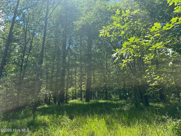 Lot 29 Honeysuckle  Trail, Lincolnton, GA 30817