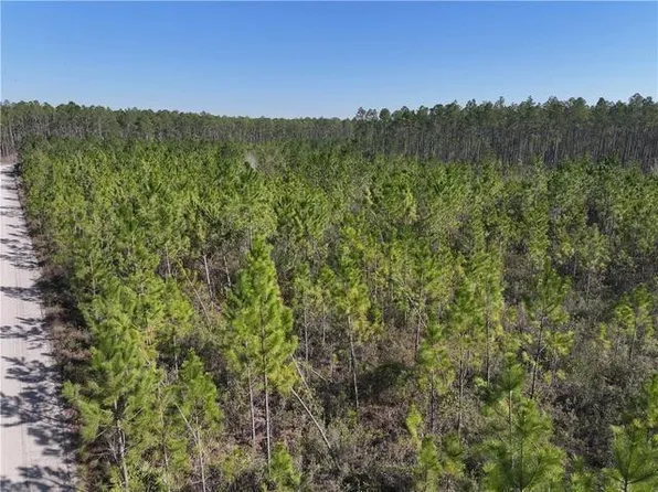 0 Tract Hwy #6-341, Odum, GA 31555