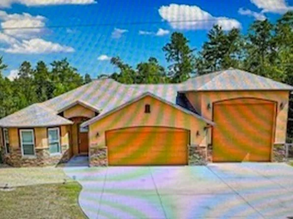 3 Bay Ln, Ocklawaha, FL 32179
