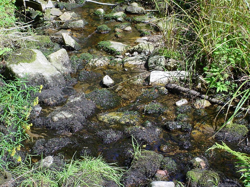 2nd image of 0 County Route 119