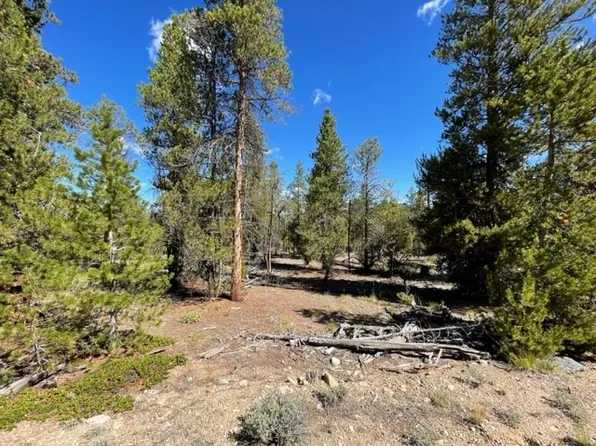 341 Lodge Pole Dr, Twin Lakes, CO 81251