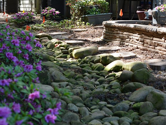 Backyard Photo in spring