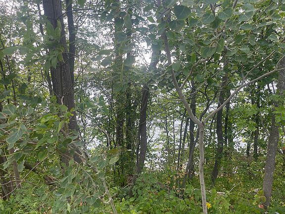 2nd image of Sand Lake Rd