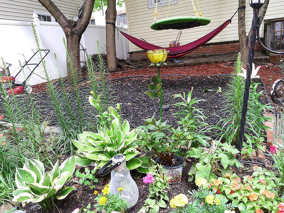 FLOWERS in YARD