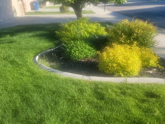 Mature landscaping in the front.