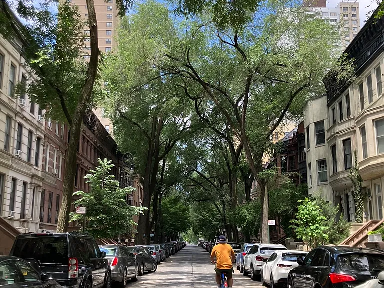 20 W 95th St #7/8 — Photo 18