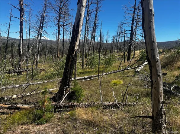 405 Powers Road LOT 405, Fort Garland, CO 81133